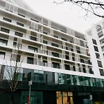 X *